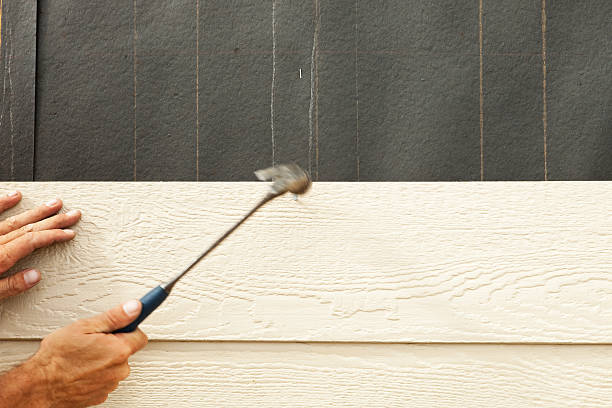 Best Siding Painting and Refinishing  in Brush Prairie, WA